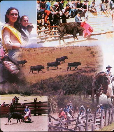 Fiestas del Maz y el Turismo 2003